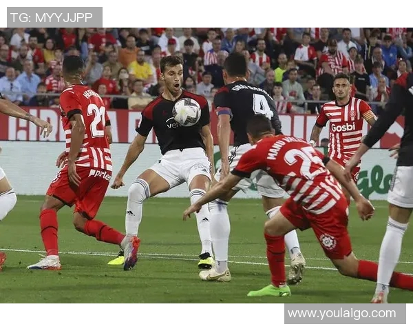 汉堡与狼堡,德甲赛场悬念升温 汉堡与狼堡,德甲赛场悬念升温